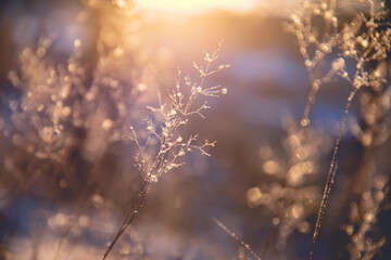 额济纳旗增13例本土[额济纳旗新增6例确诊 累计31例]