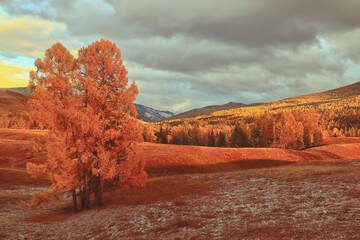 额济纳旗增13例本土[额济纳旗新增6例确诊 累计31例]