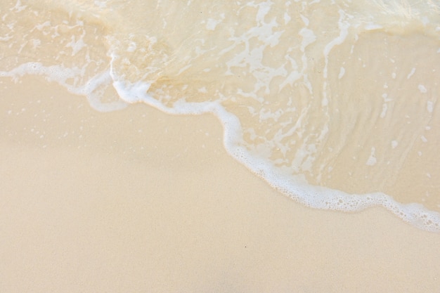 夹江疫情?夹江县应对新型冠状病毒肺炎疫情应急指挥部